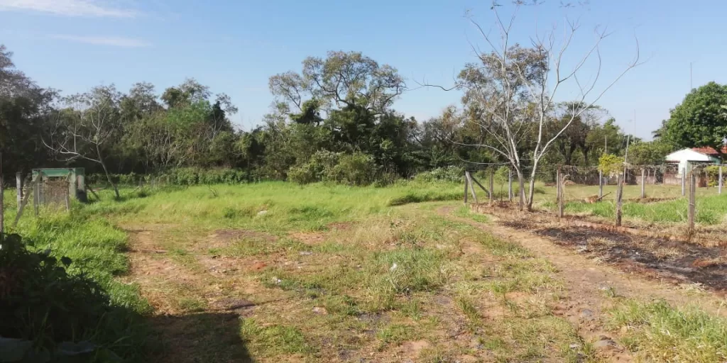 VENDO 3 TERRENOS JUNTOS EN CAPIATA RUTA 2 KM 24 — foto 2