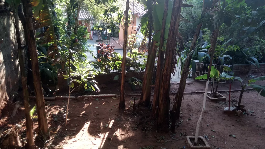 VENDO TERRENO DE 392 METROS CUADRADOS DE SUPERFICIE ESPECIAL USO COMERCIAL. — foto 2