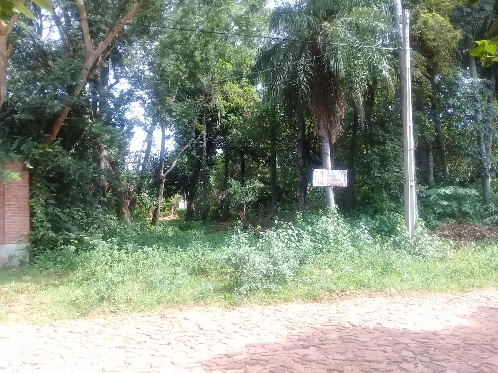 PROPIETARIO VENDE BARATO TERRENO EN LUQUE BARRIO 3 MAYO — foto 3