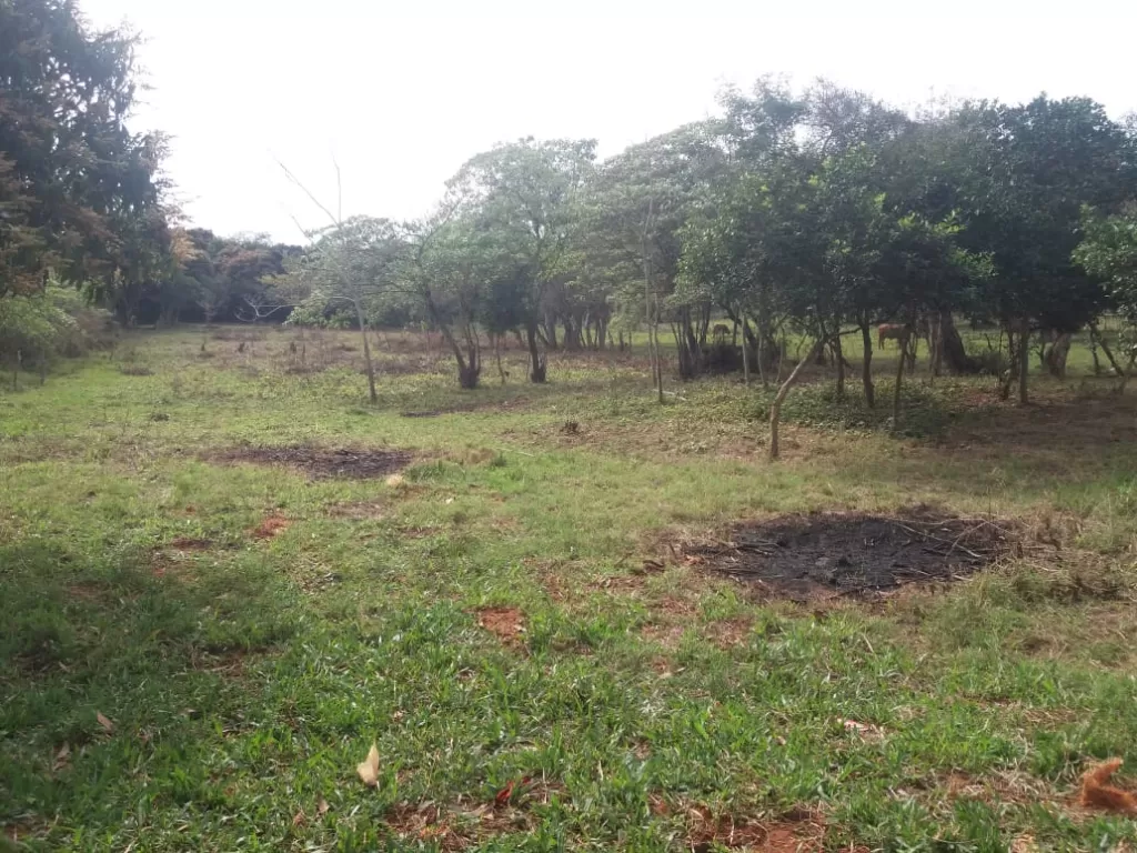 Oferto terreno en Luque de 2768m2 — foto 3