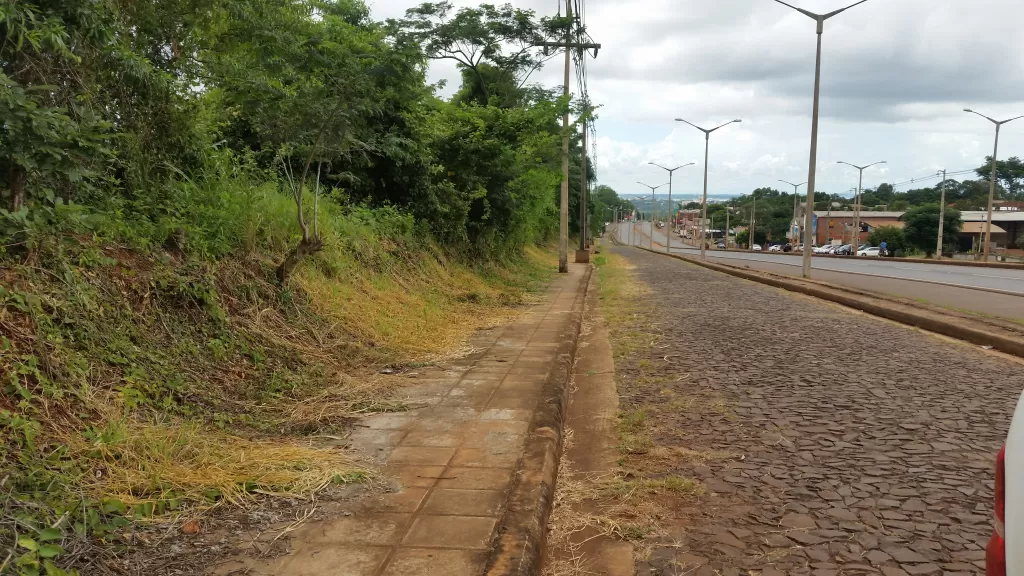 Vendo terreno de 8Has sobre ruta VI. ENCARNACIÓN. — foto 3