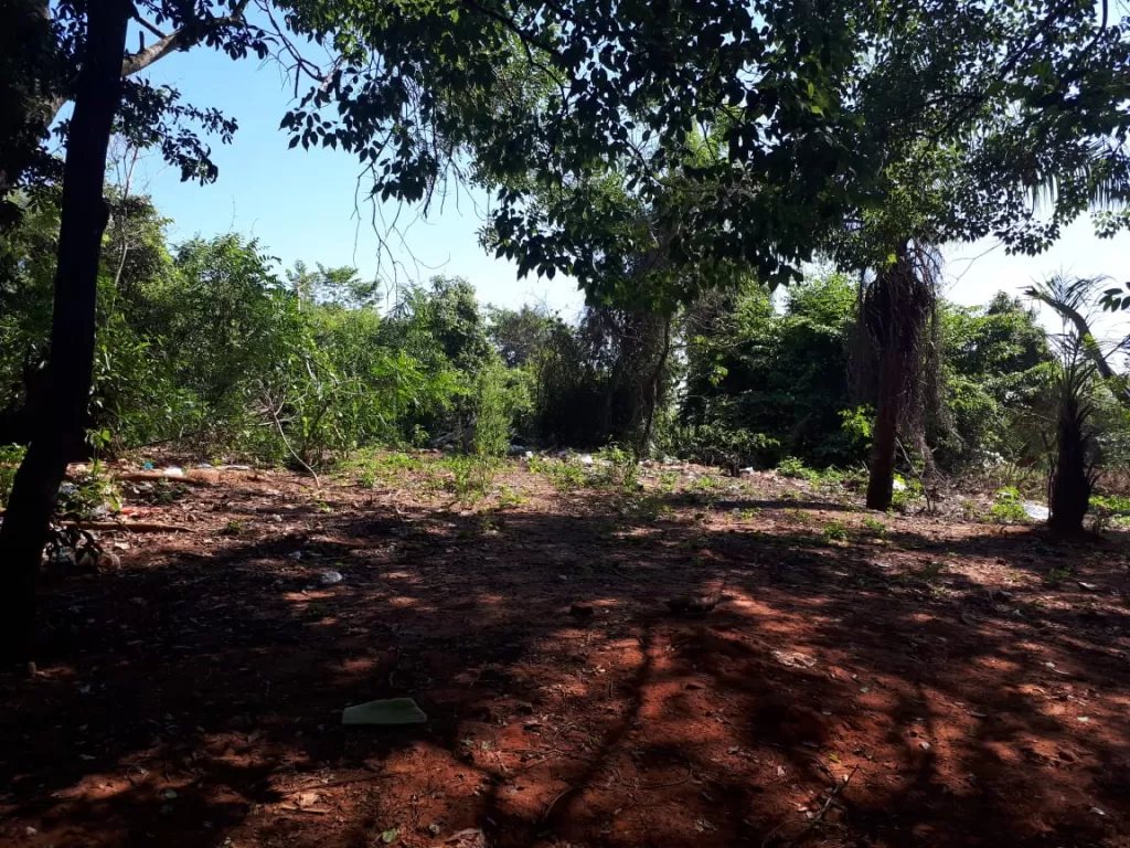VENDO DOS TERRENOS EN CAPIATA — foto 2