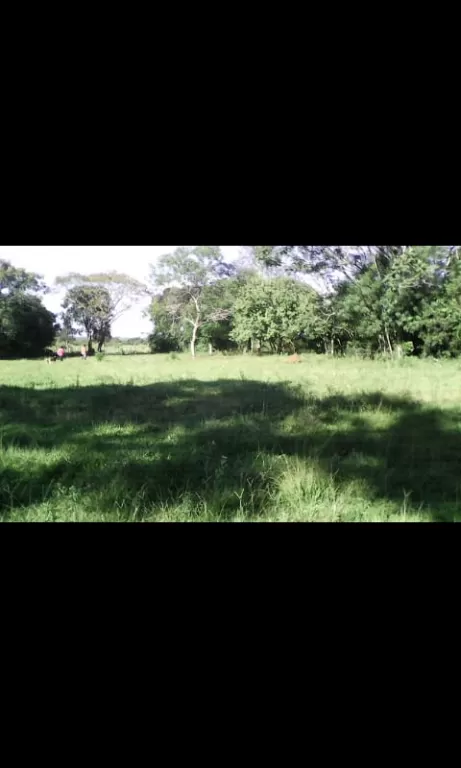 VENDO TERRENO EN LA LOCALIDAD DE REPATRIACIÓN - CAAGUAZÚ — foto 2