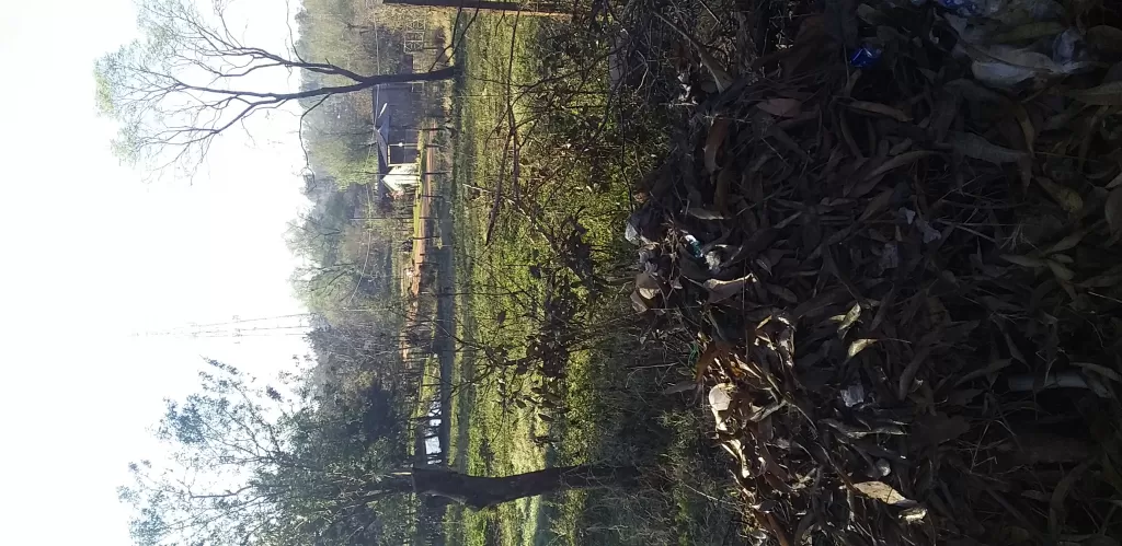 VENDO 3 TERRENO JUNTOS TITULADO — foto 2