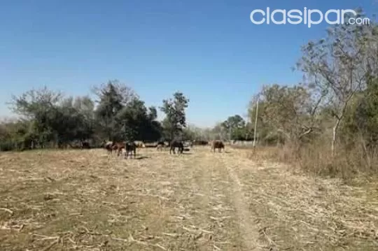 Propiedad de 9 hectáreas entre Carapegua y Nueva Italia — foto 2