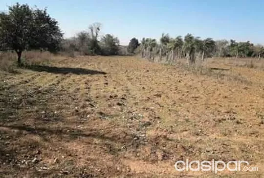 Propiedad de 9 hectáreas entre Carapegua y Nueva Italia — foto 3