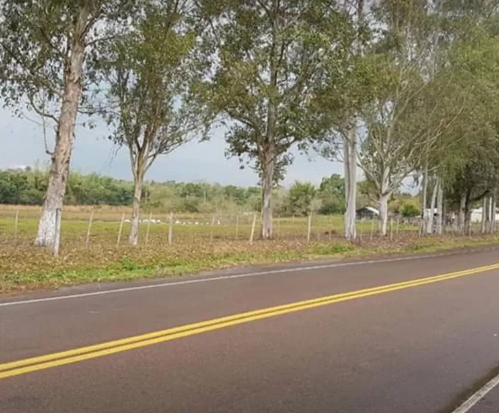 VENDO TERRENO EN LOMA GRANDE SOBRE ASFALTO — foto 2