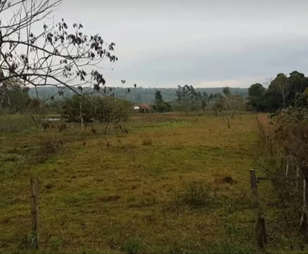 VENDO TERRENO EN LOMA GRANDE SOBRE ASFALTO — foto 3