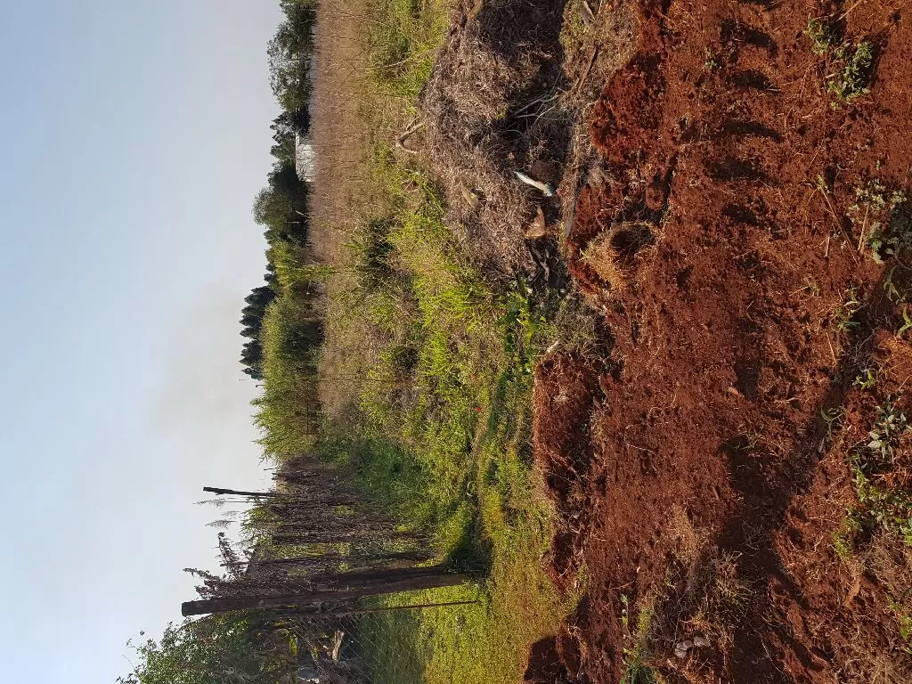 Oferta terreno en Minga Guazu — foto 2