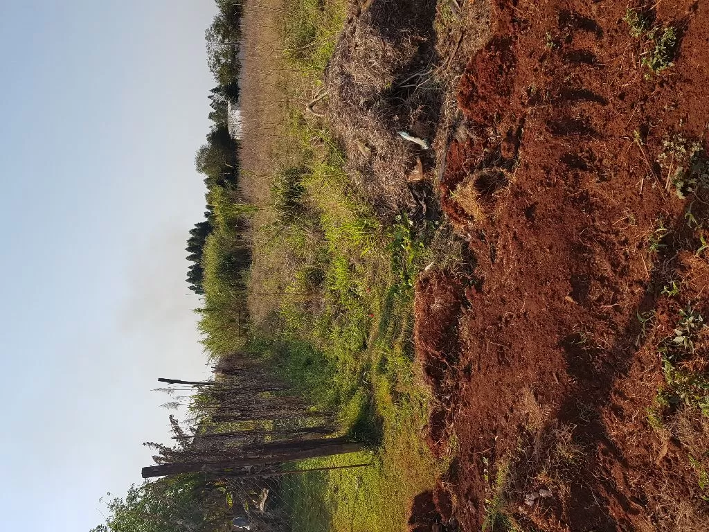 Oferta terreno en Minga Guazu — foto 3