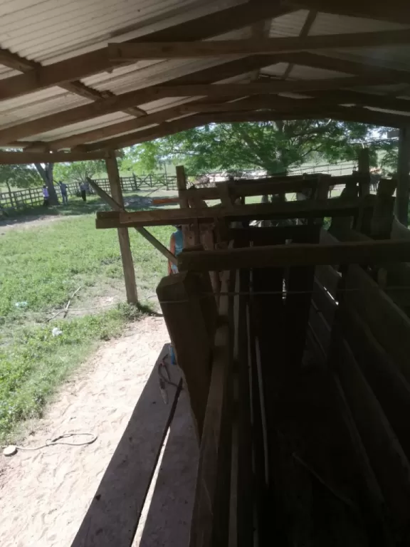 Vendo hermoso campo en Humaitá Ñeembucu 200 hectáreas — foto 3