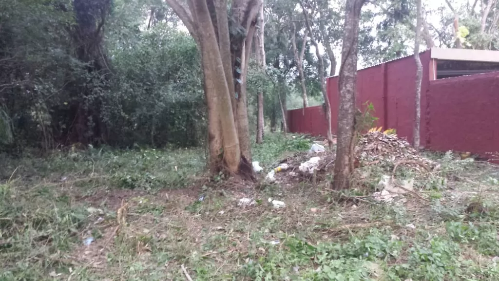 Vendo Terreno en San Bernardino — foto 3