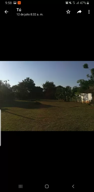Vendo 2 hermosos terrenos juntos en el centro de san Lorenzo — foto 3