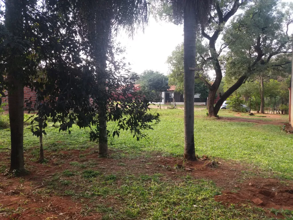 VENDO TERRENO (zona cicloncito) — foto 3