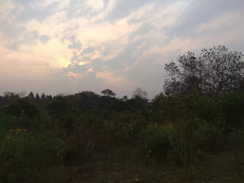 Terreno de 10 hectáreas especial para granja en Repatriación-Caaguazu — foto 2