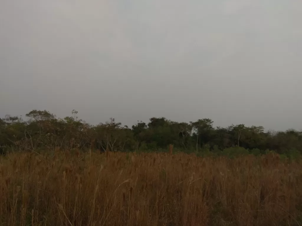 Terreno de 10 hectáreas especial para granja en Repatriación-Caaguazu — foto 3