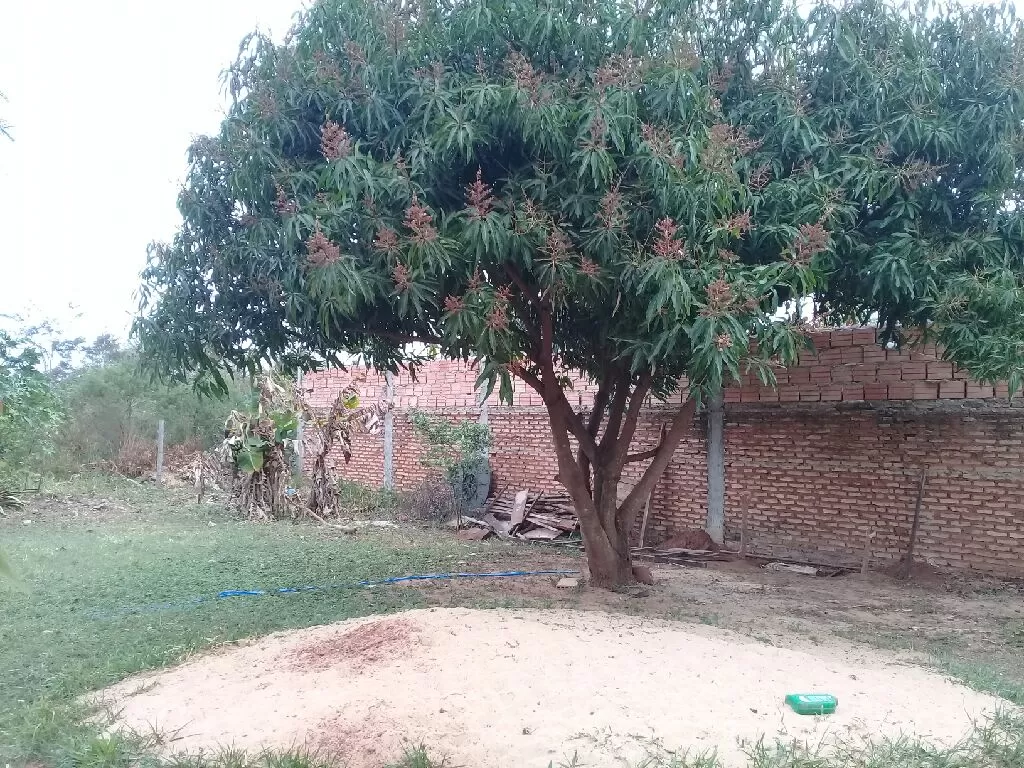Vendo una casa — foto 2