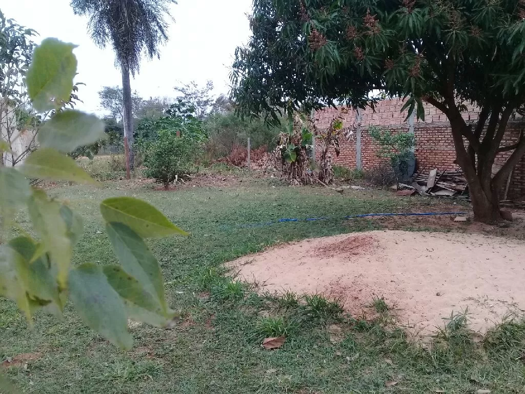 Vendo una casa — foto 3