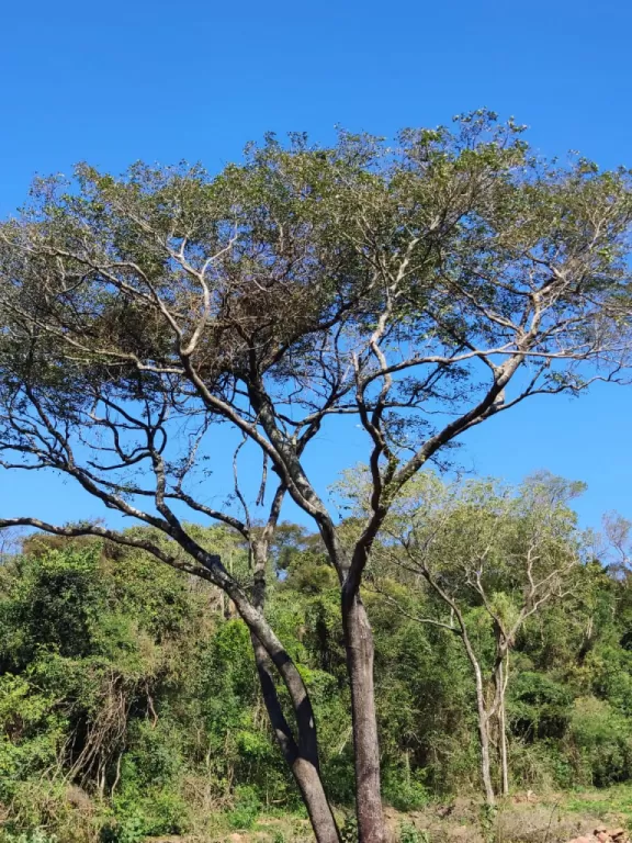 Terrenos con vista al Lago con superficie de 2000 m2 — foto 2