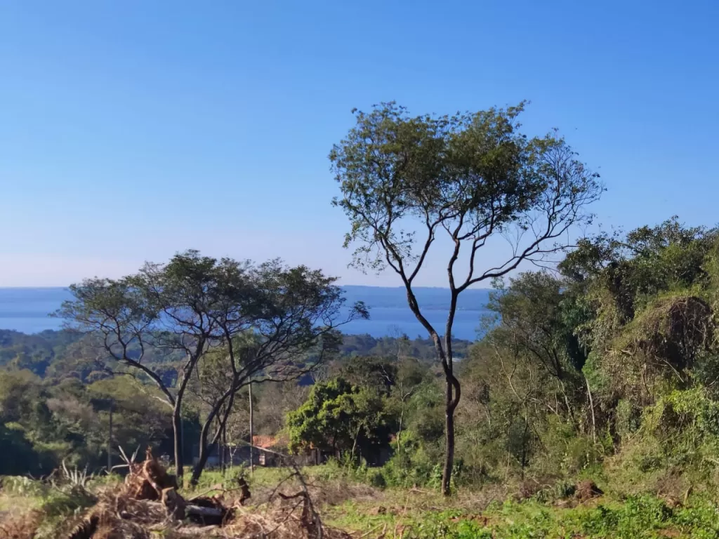 Terrenos con vista al Lago con superficie de 2000 m2 — foto 3