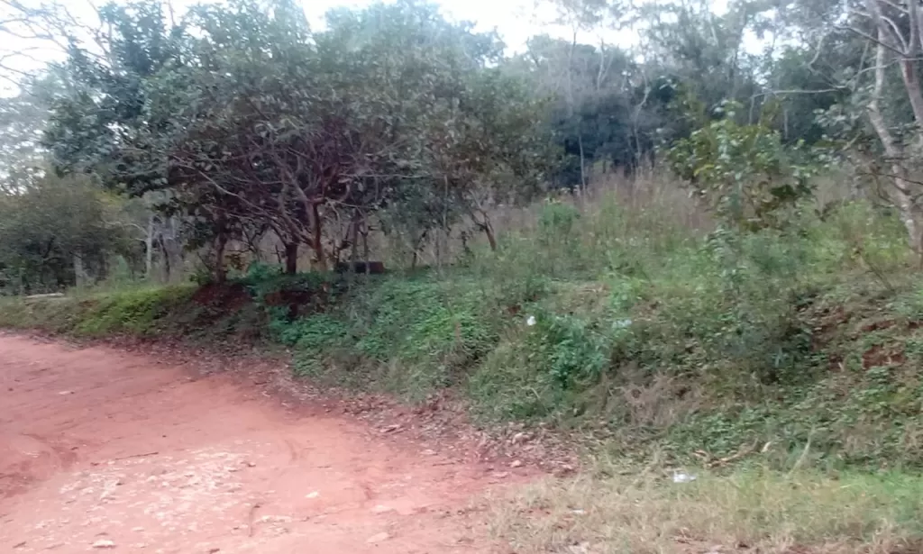 VENDO TERRENO EN YPANE — foto 2