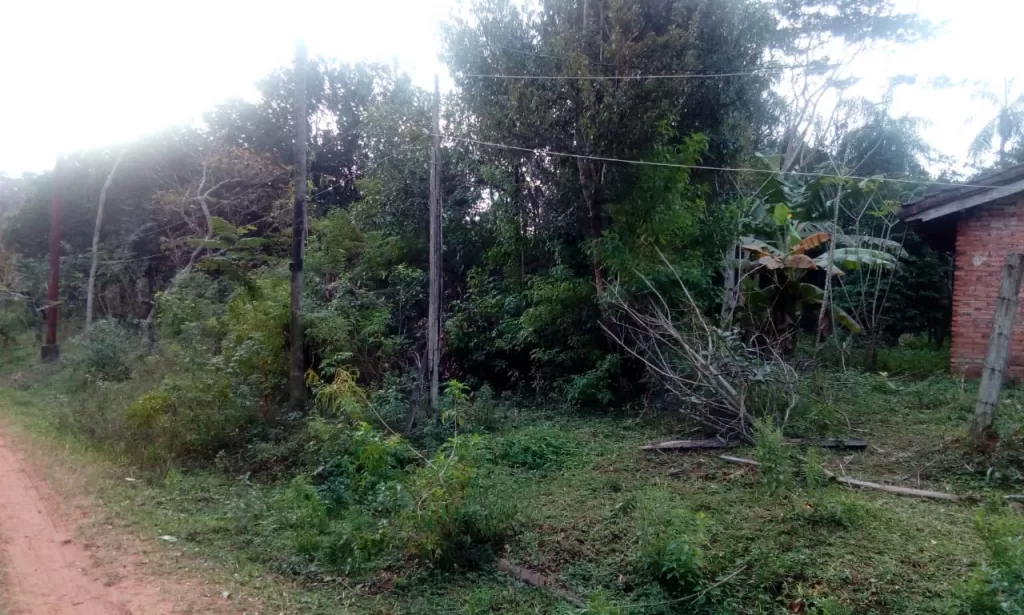 VENDO TERRENO EN YPANE — foto 3