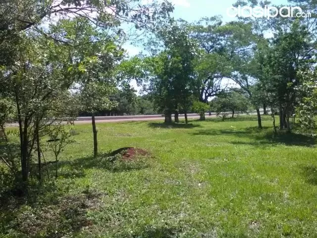 30 has, estratégica propiedad sobre ruta 7, Alto Paraná a 70 km de CDE — foto 3