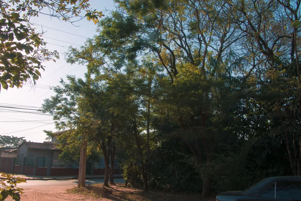 VENDO HERMOSO LOTE ARBOLADO EN ESQUINA, LUQUE ZONA CONMEBOL — foto 2