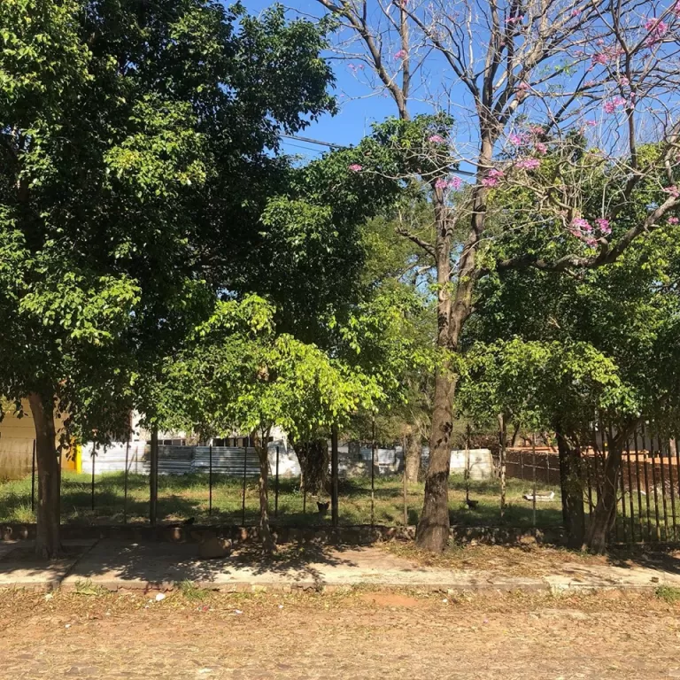 VENDO 2 TERRENOS EN MBURUCUYA - JUNTOS O SEPARADOS — foto 2