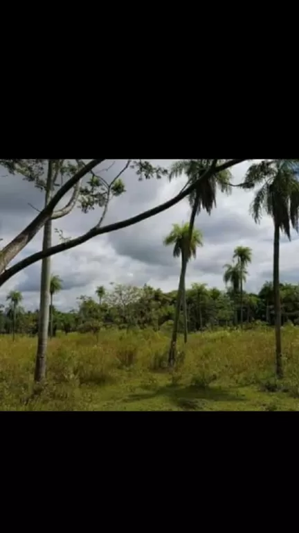 Vendo terreno en Loma Grande Cordillera — foto 2