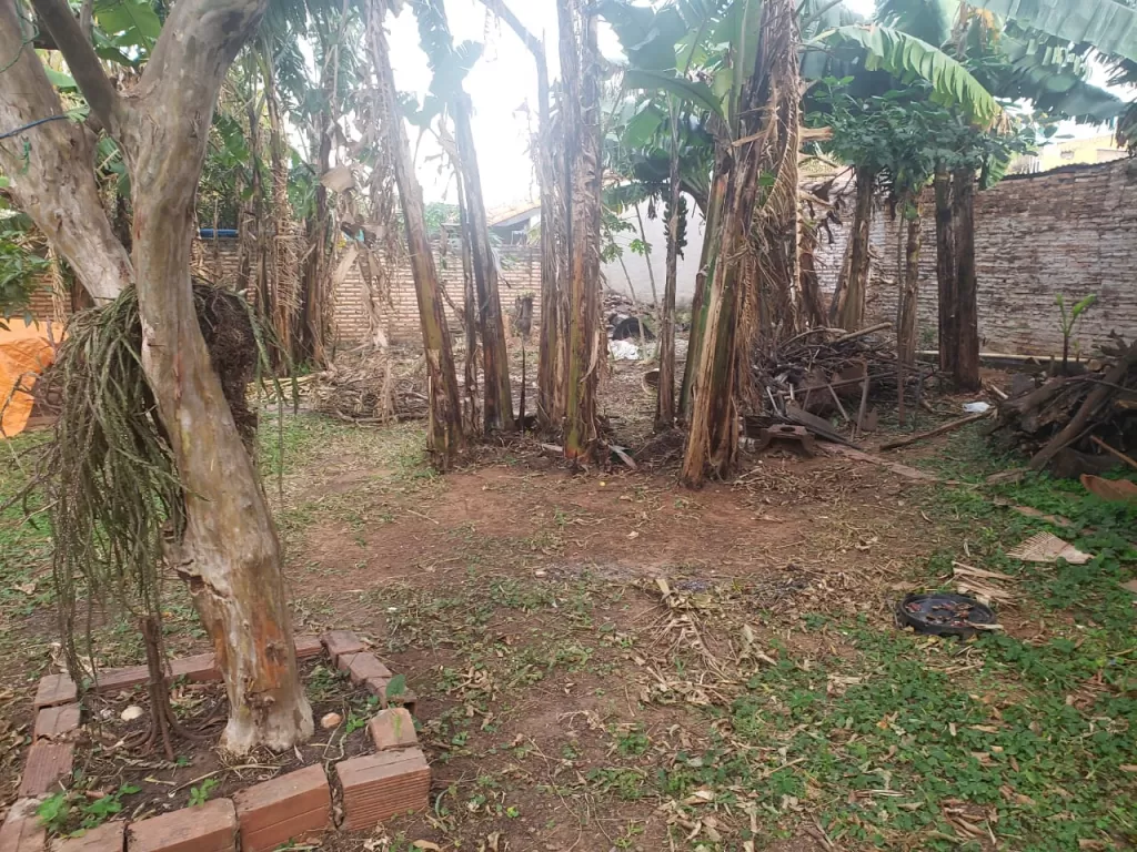 Vendo amplio terreno en Asunción Barrio Herrera — foto 3
