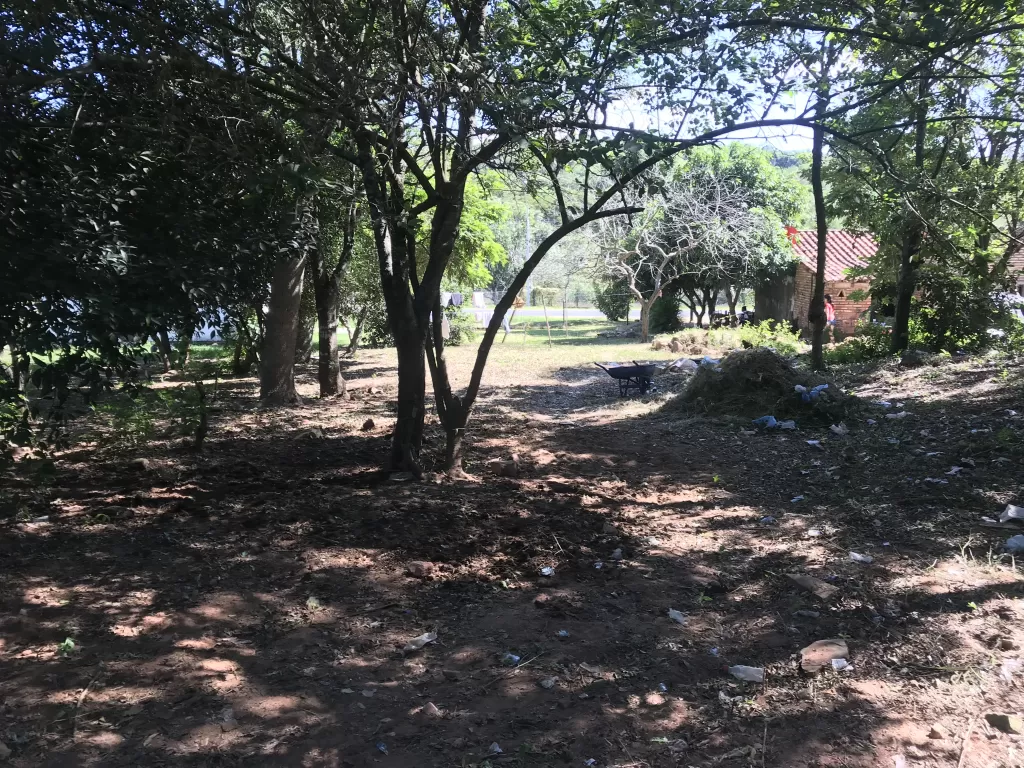 VENDO TERRENO EN NUEVA COLOMBIA SOBRE ASFALTO- DPTO CORDILLERA — foto 2