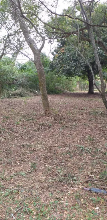 TERRENO EN LA CIUDAD DE SAN BERNARDINO — foto 2