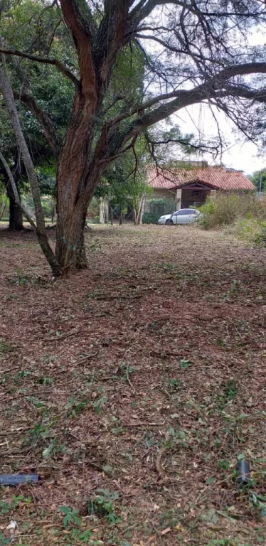 TERRENO EN LA CIUDAD DE SAN BERNARDINO — foto 3