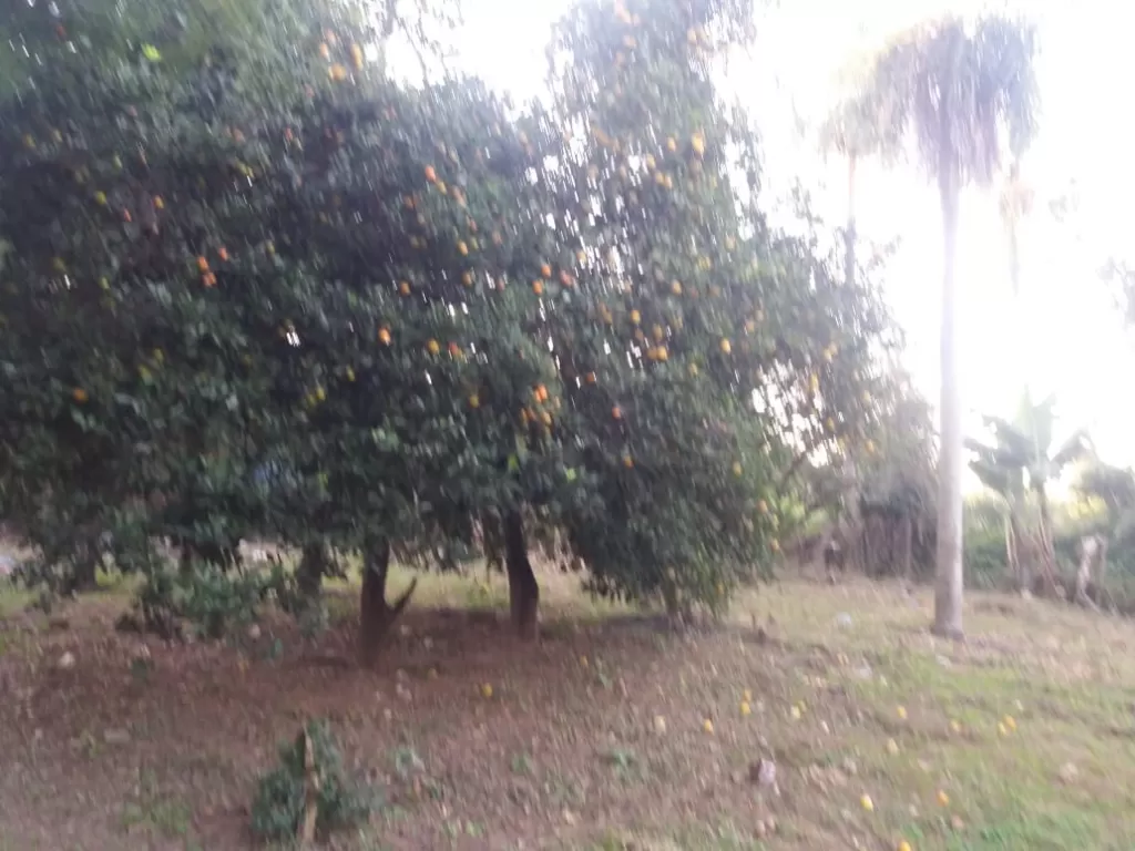 VENDO HERMOSA CASA QUINTA 5 hectareas EN EL CENTRO DE ATYRA, UN BELLEZA!!! — foto 2