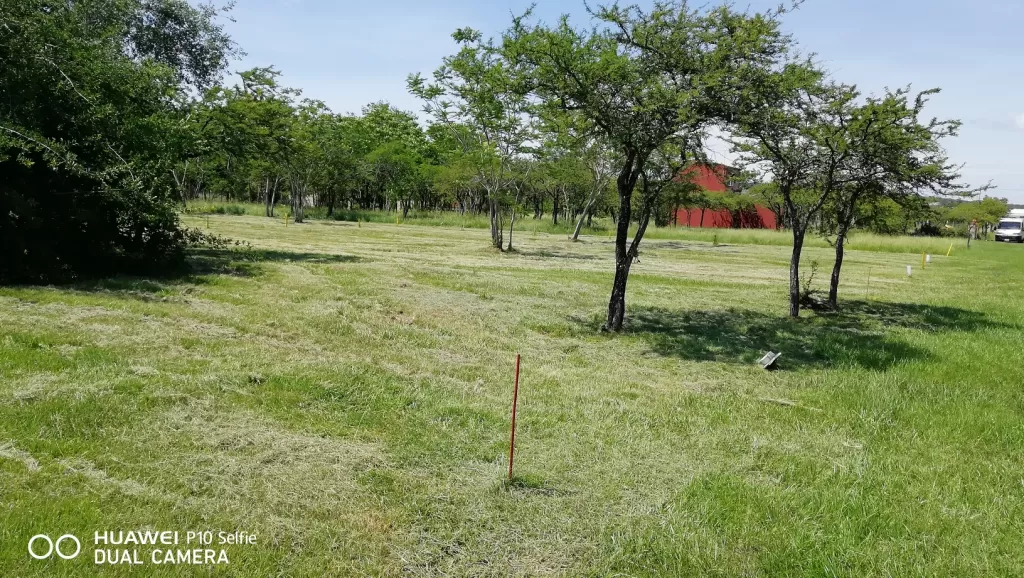 TERRENO EN PATIÑO YPACARAI EN URB PARAISO AL LAGO — foto 2