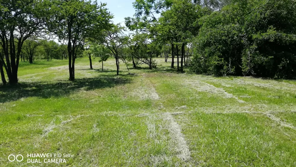 TERRENO EN PATIÑO YPACARAI EN URB PARAISO AL LAGO — foto 3