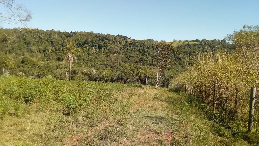 Vendo Granja de 10 has!!! — foto 2