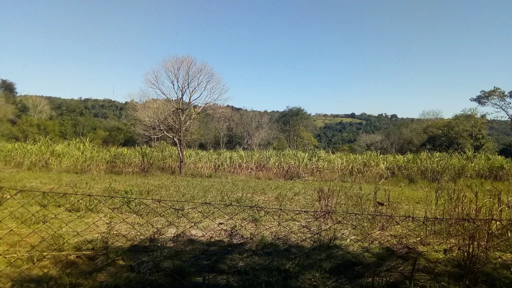 Vendo Granja de 10 has!!! — foto 3