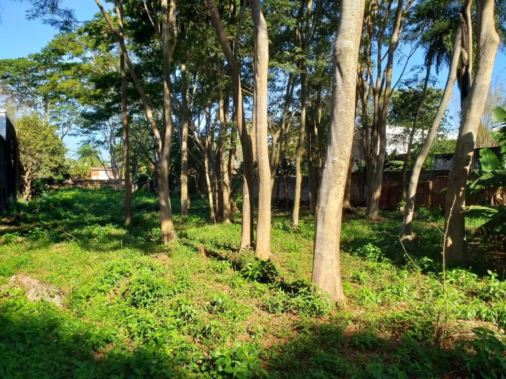 VENDO 2 LOTES ZONA SHOPPING DEL SOL — foto 2