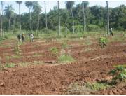 Vendo campo en Pirayu. 13.6 hectáreas