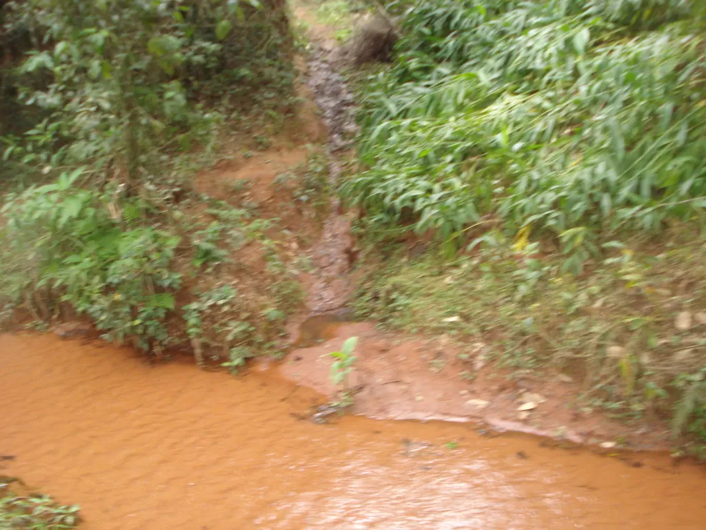 Vendo campo en Pirayu. 13.6 hectáreas — foto 3