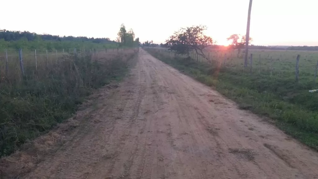 Oferta de 250 ha. en Nueva Colombia — foto 2