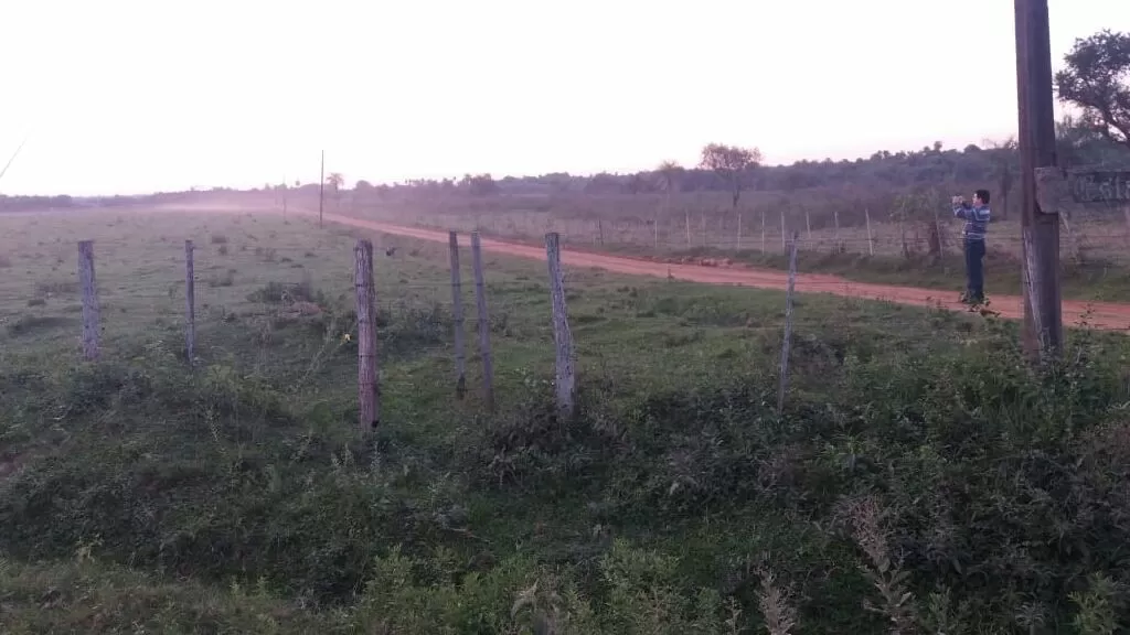 Oferta de 250 ha. en Nueva Colombia — foto 3