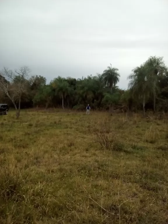 ¡¡¡REGALO TERRENOS EN EL CORTIJO A LA ENTRADA DE SAN BERNARDINO!!! — foto 2