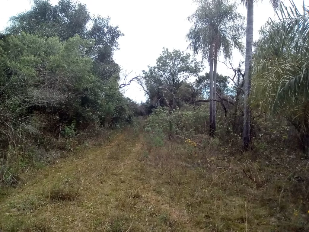 ¡¡¡REGALO TERRENOS EN EL CORTIJO A LA ENTRADA DE SAN BERNARDINO!!! — foto 3