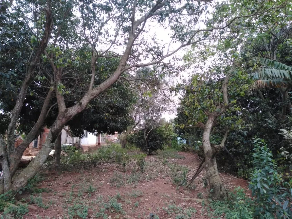 Terreno - Venta - Paraguay Central Capiata — foto 2