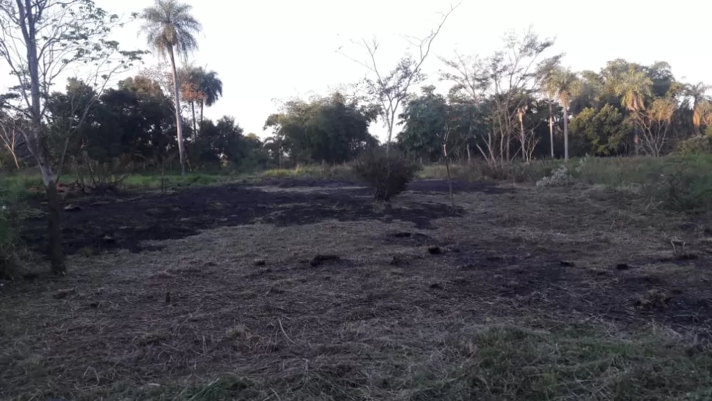 TERRENO superficie de 12x29 mts, YTORORO (zona ñemby) — foto 2
