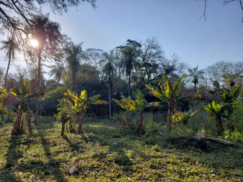 Vendo hermoso terreno en Luque — foto 2