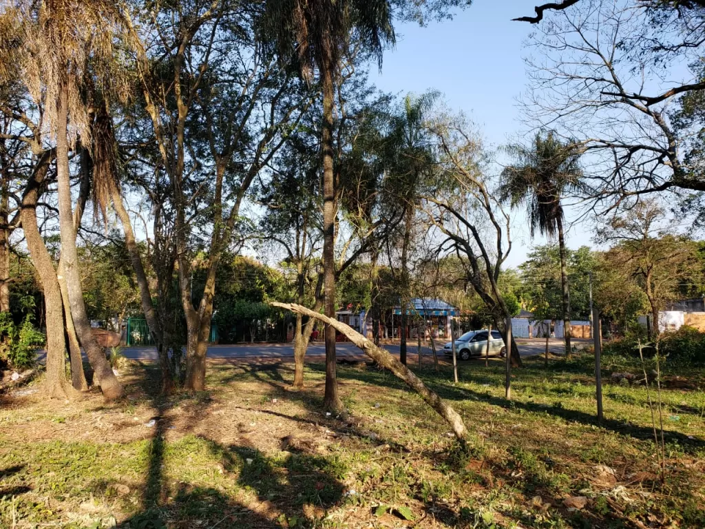 Vendo hermoso terreno en Luque — foto 3